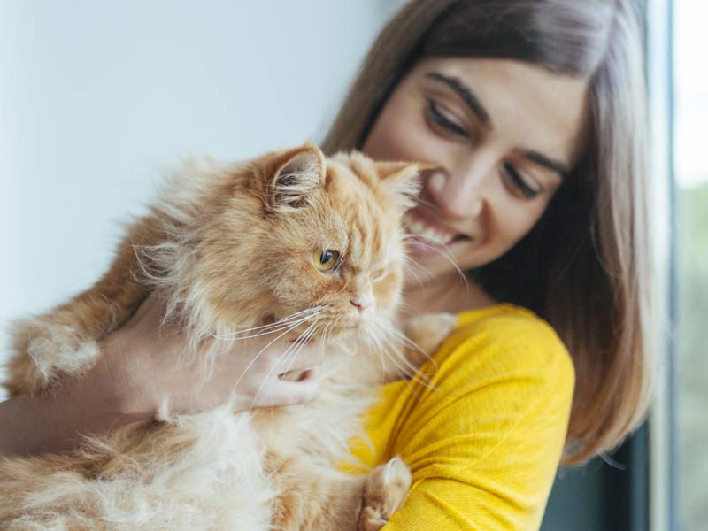 Thinking about adopting a cat? Woman holding orange cat in her arms
